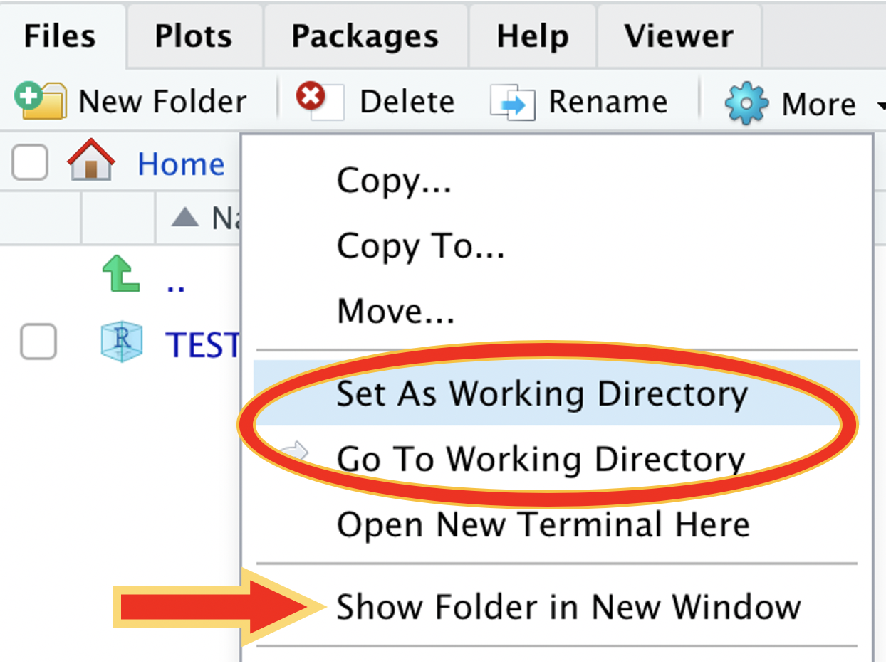 More menu provides easy navigation to working directory.