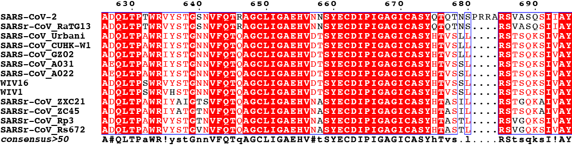 Alignment details around the furin site for Walls (2020) alignment. Note the consensus sequence at the bottom line.