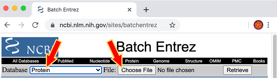 Details: Batch Entrez. Select Protein database and upload file list of accession codes.