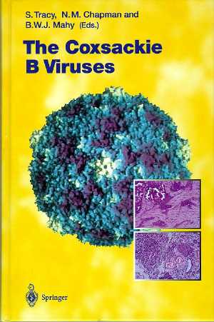 1997 the coxackie b virus