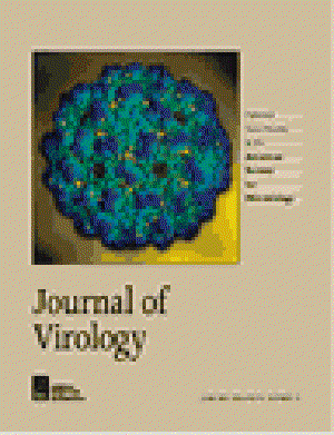 2001 journal of virology