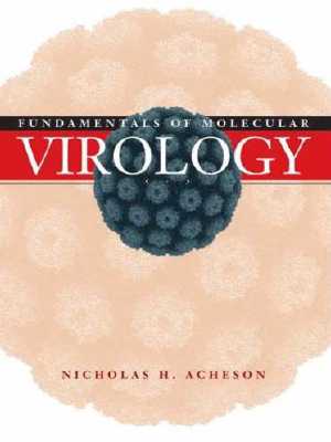 2006 fundamentals of molecular virology