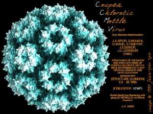 Cowpea chlorotic mottle