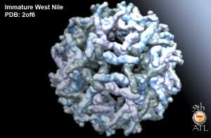 West nile