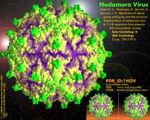 Nodamura