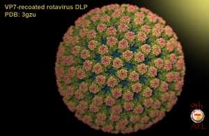 Rotavirus