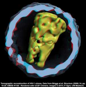 Human immunodeficiency