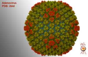 Mastadenovirus